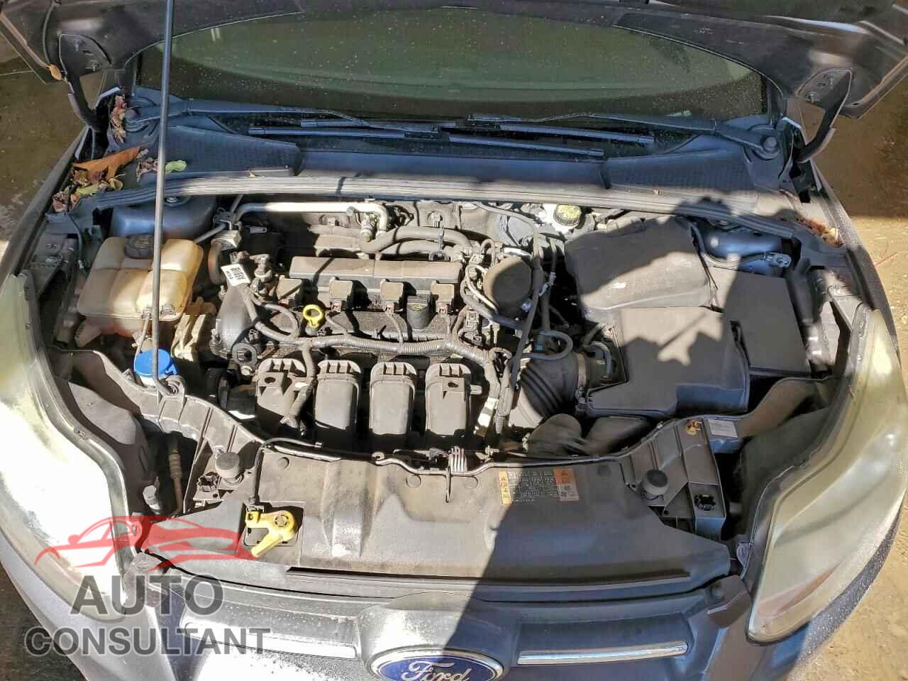 FORD FOCUS 2014 - 1FADP3F24EL428964