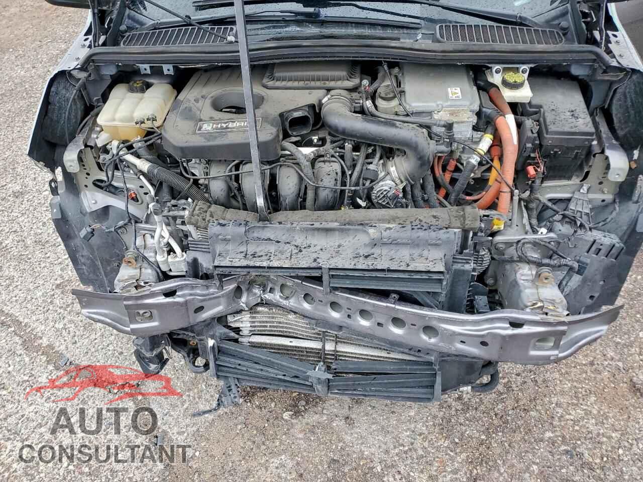 FORD CMAX 2014 - 1FADP5AUXEL520097