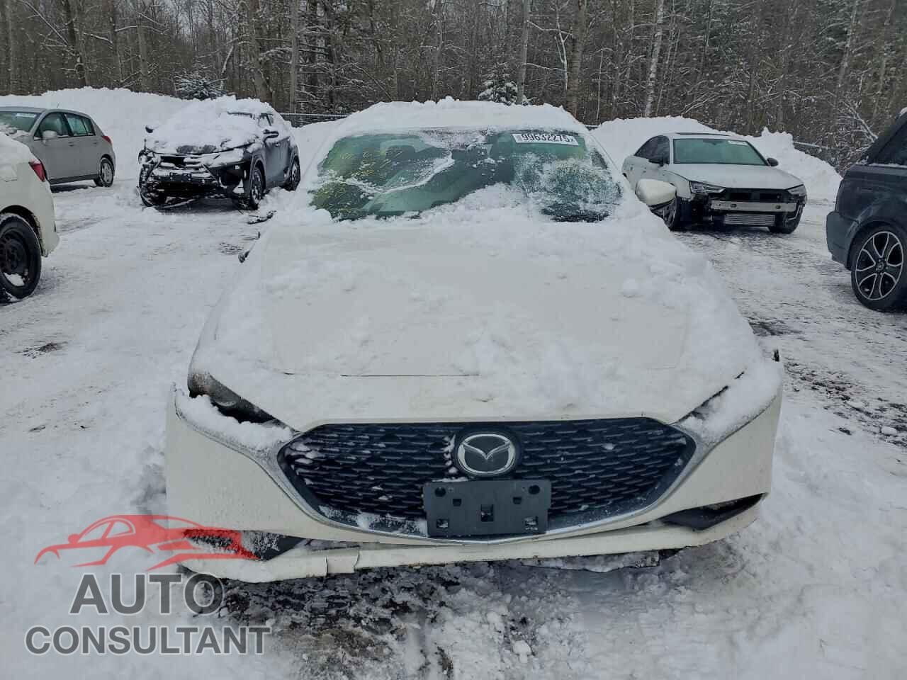 MAZDA 3 2019 - JM1BPBCM5K1125877