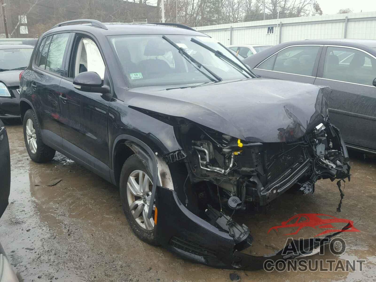 VOLKSWAGEN TIGUAN 2016 - WVGBV7AX8GW530492