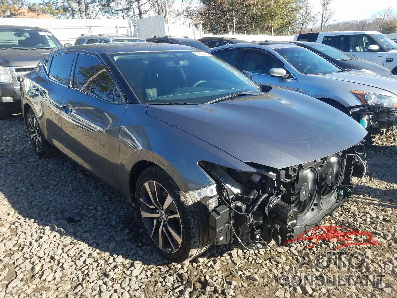 NISSAN MAXIMA 2019 - 1N4AA6AV3KC375550