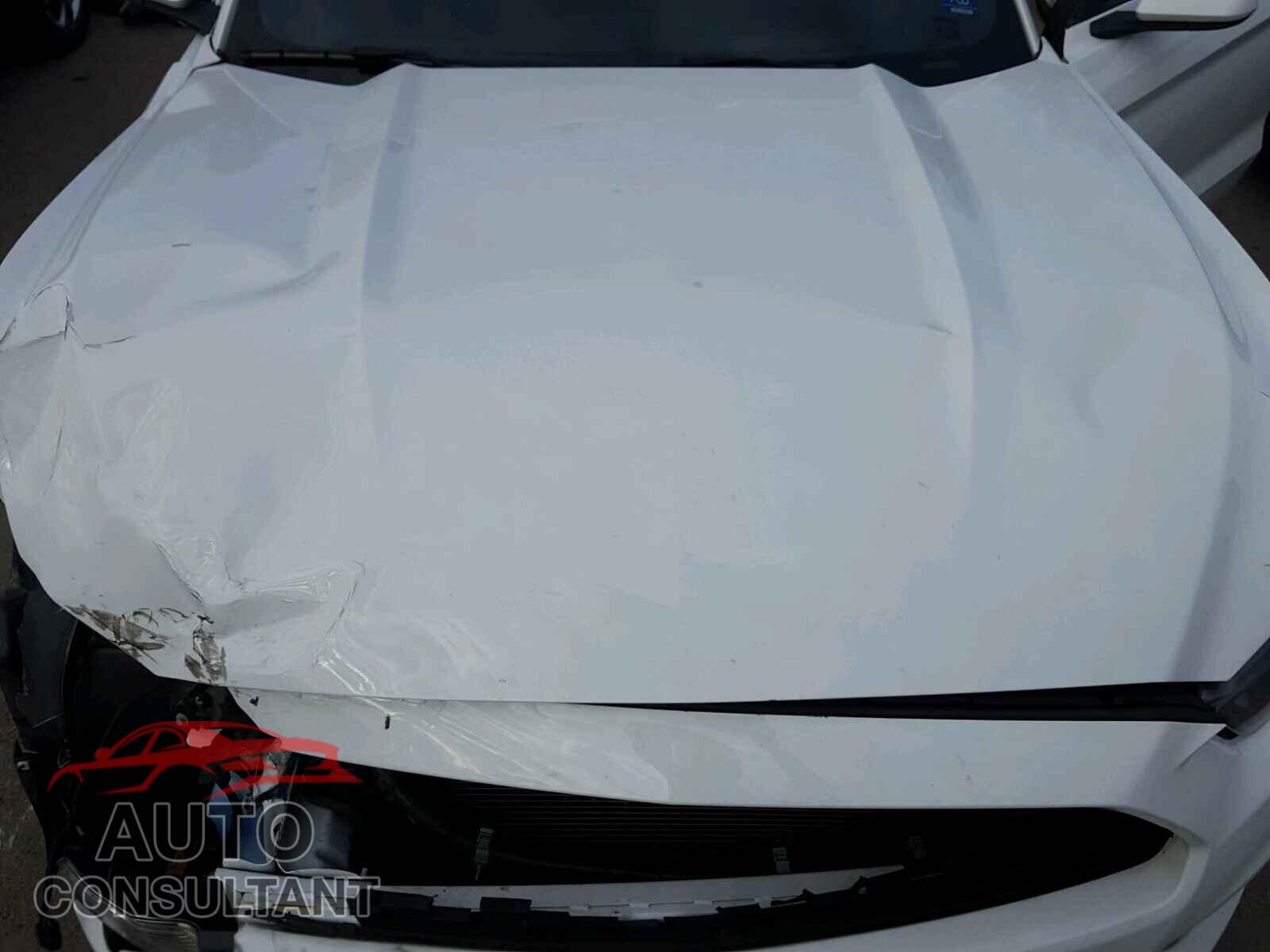 FORD MUSTANG 2016 - 1FA6P8AMXG5243940