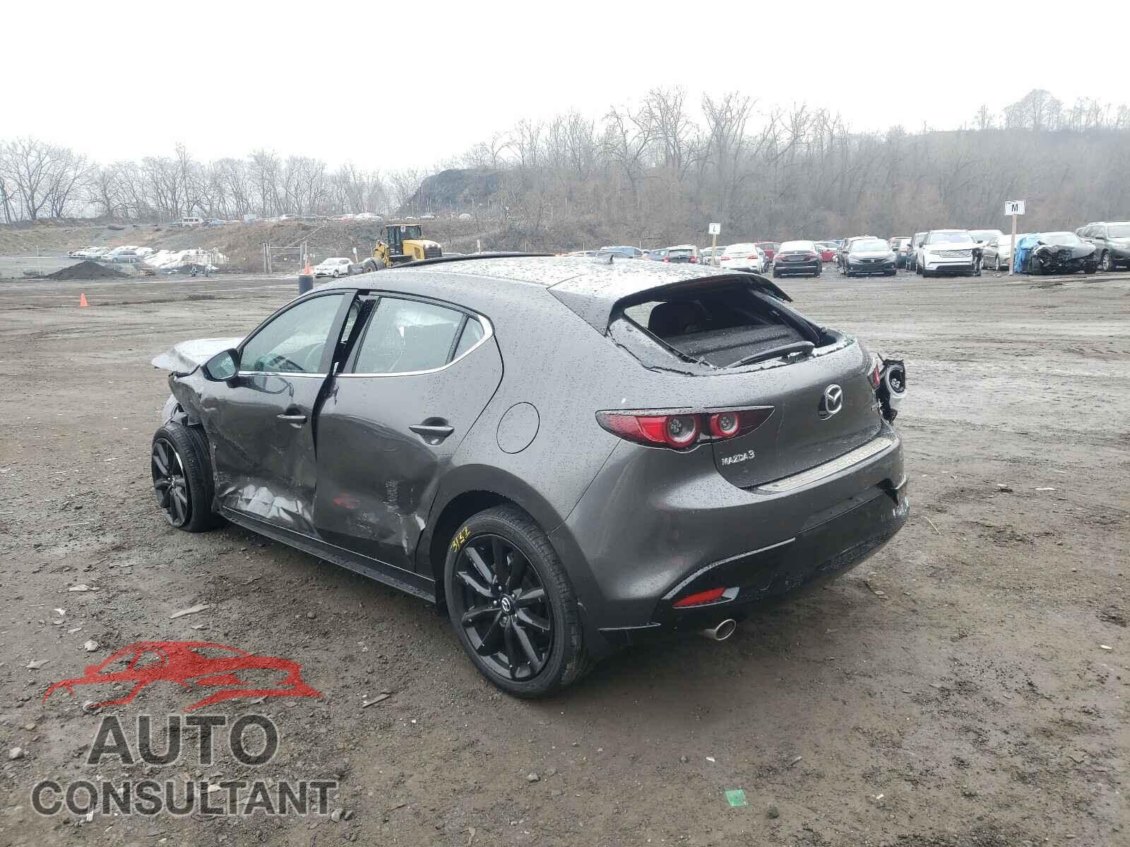 MAZDA 3 2019 - JM1BPANMXK1119631