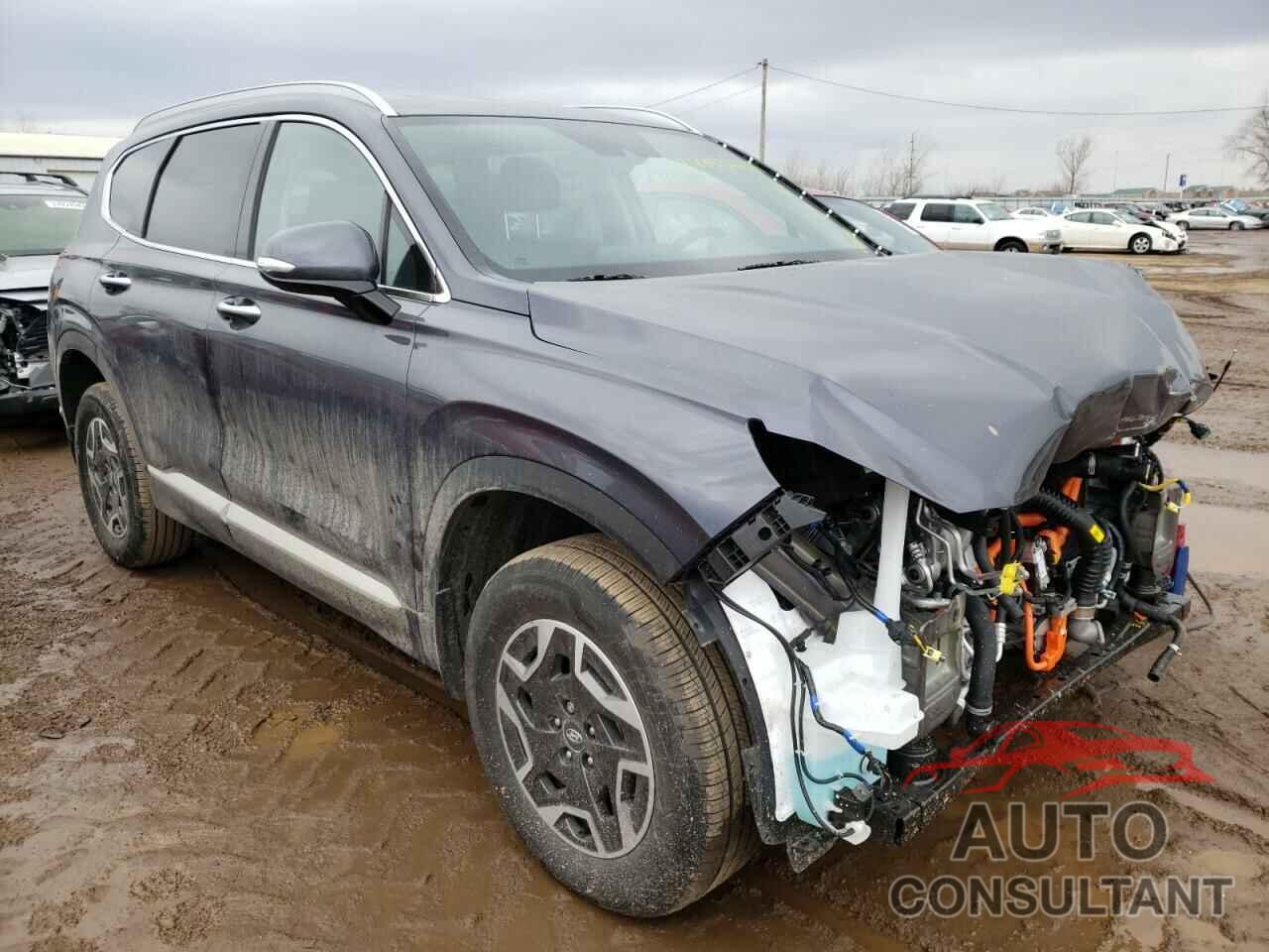 HYUNDAI SANTA FE 2022 - KM8S2DA10NU025204