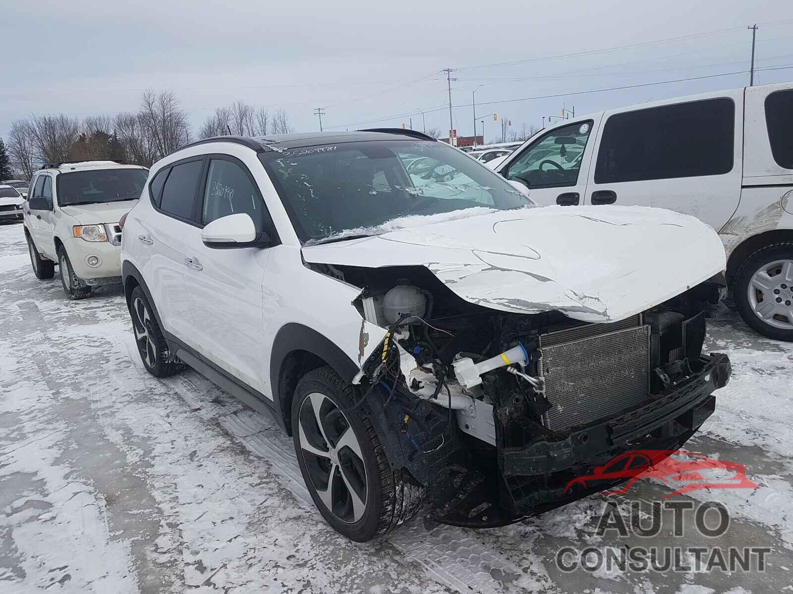 HYUNDAI TUCSON 2017 - KM8J3CA23HU524482