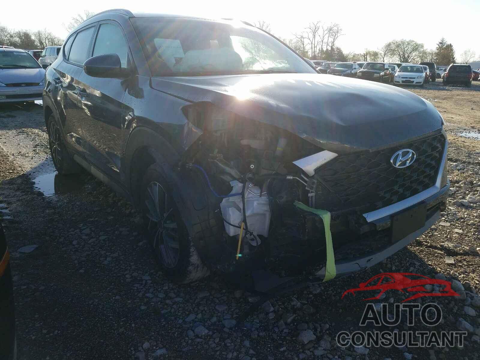 HYUNDAI TUCSON 2019 - KM8J33AL9KU901820
