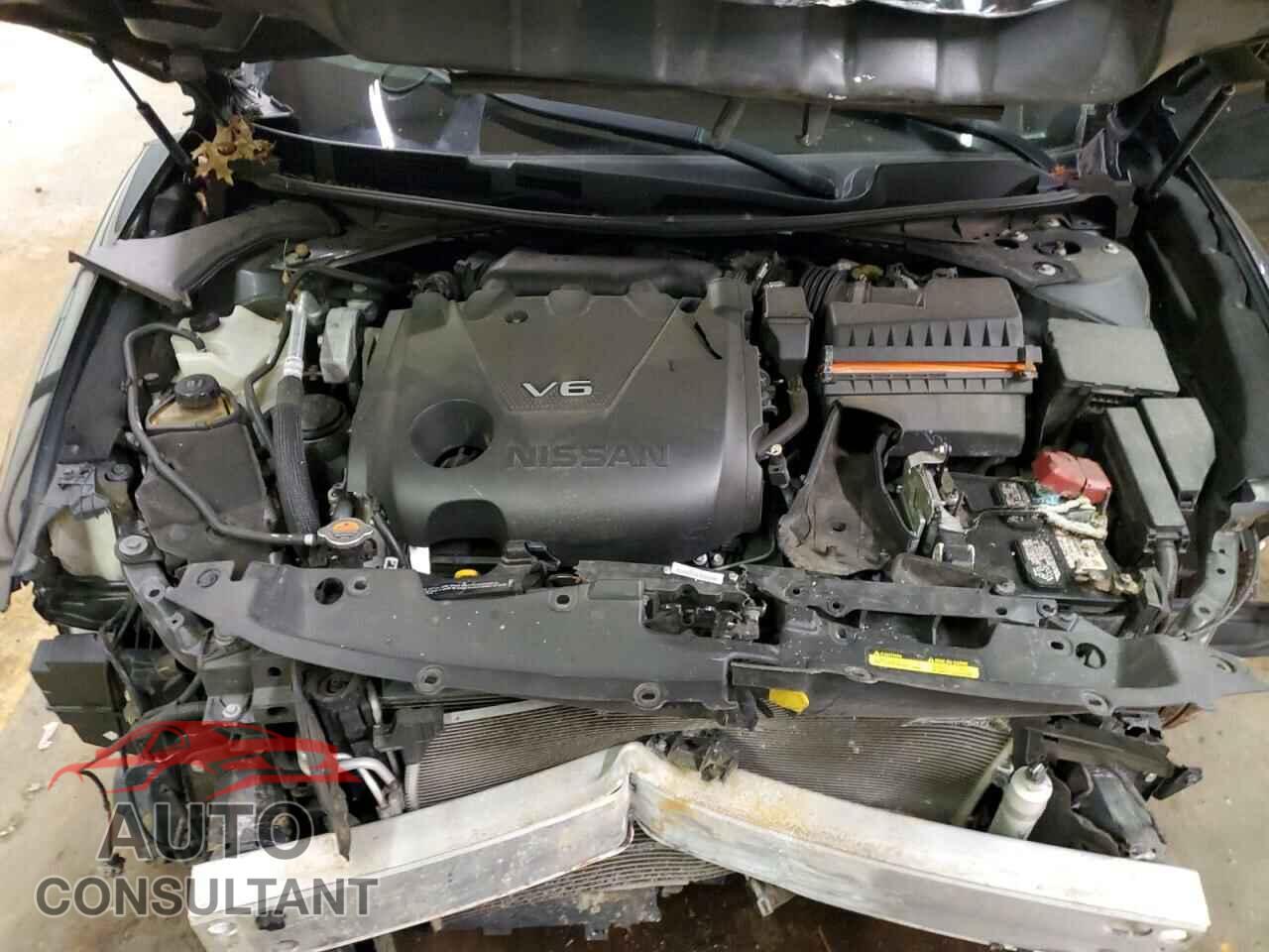 NISSAN MAXIMA 2017 - 1N4AA6AP1HC443919