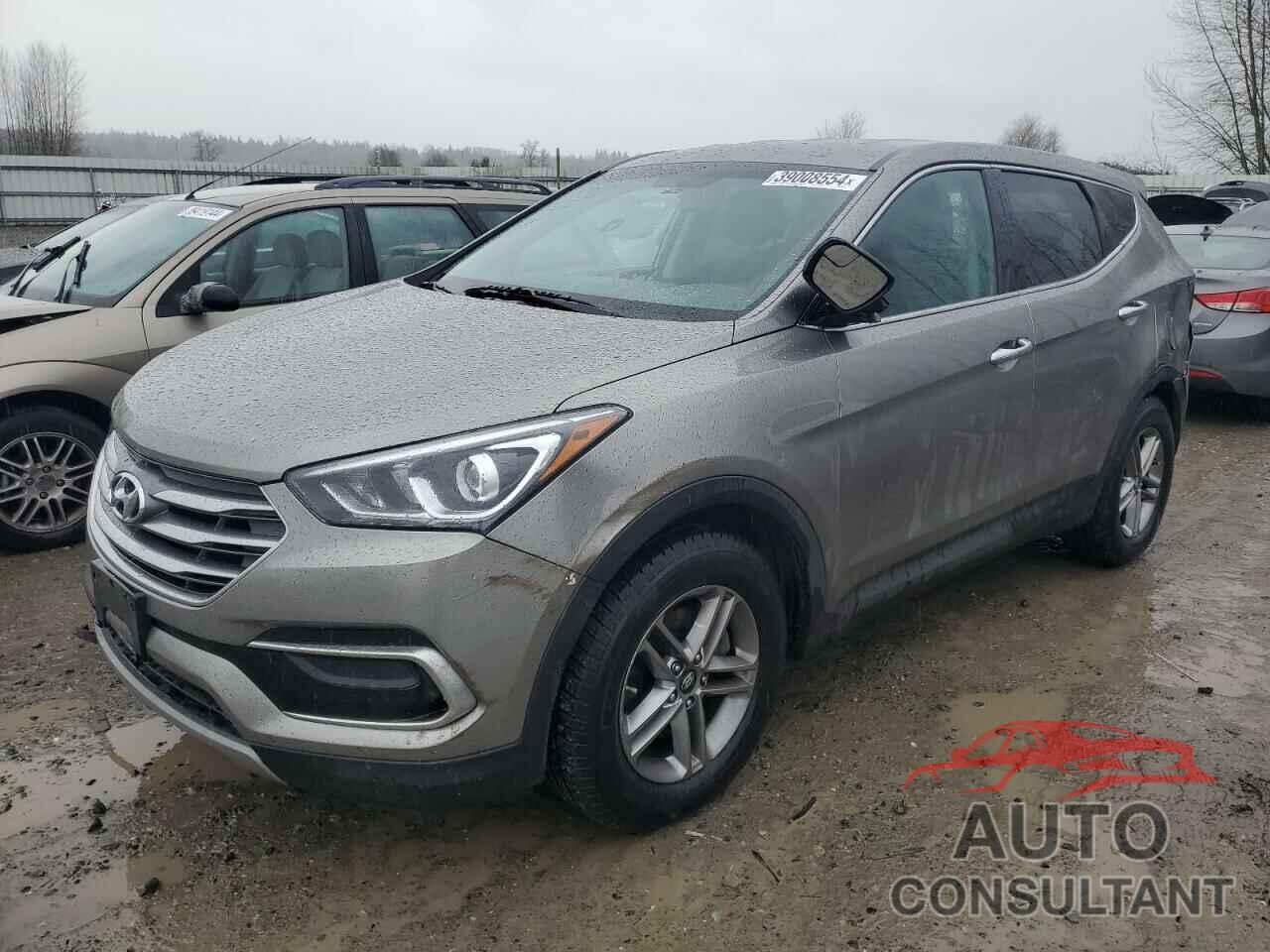 HYUNDAI SANTA FE 2017 - 5NMZTDLB1HH000779