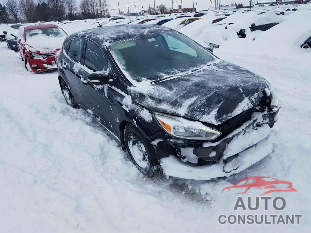 FORD FOCUS 2016 - 1FADP3N21GL317034