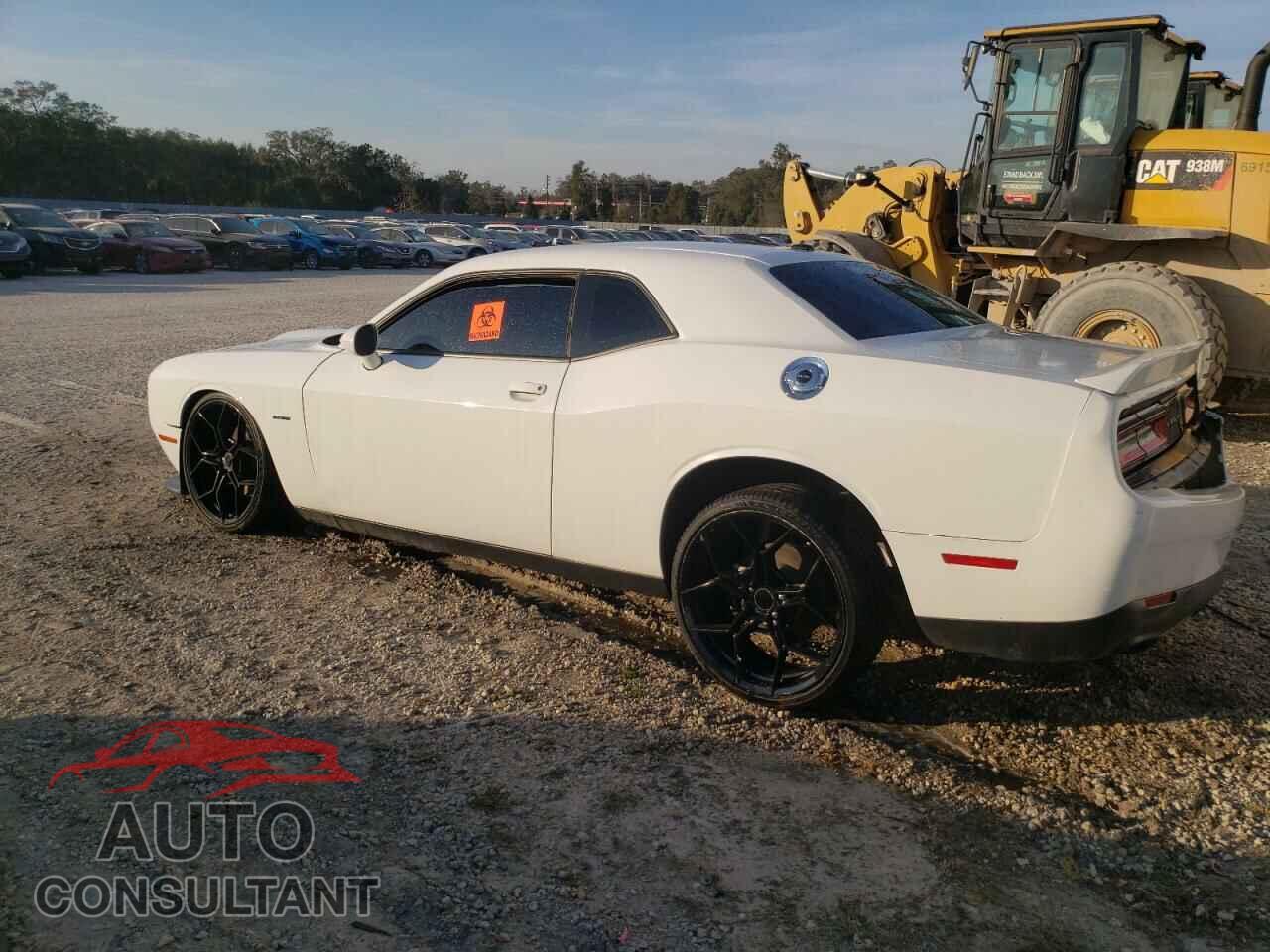 DODGE CHALLENGER 2019 - 2C3CDZBT8KH593784