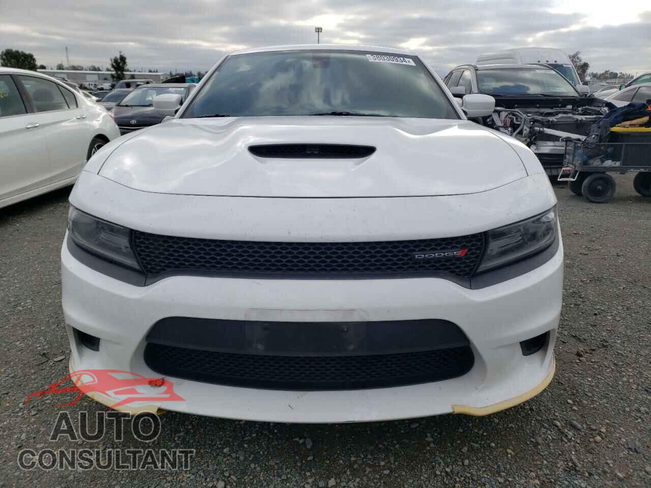 DODGE CHARGER 2019 - 2C3CDXCTXKH757345