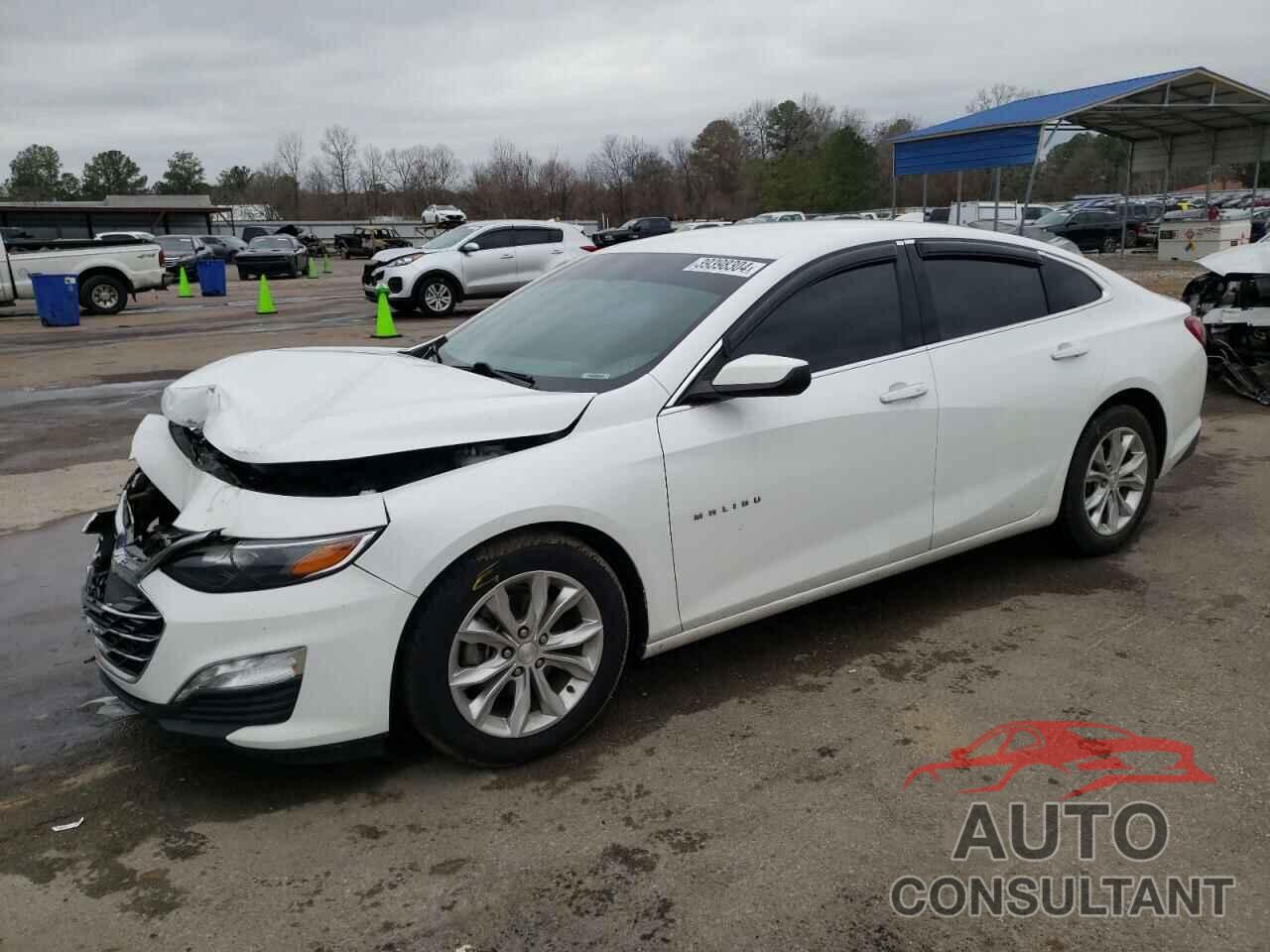CHEVROLET MALIBU 2019 - 1G1ZD5ST1KF227190