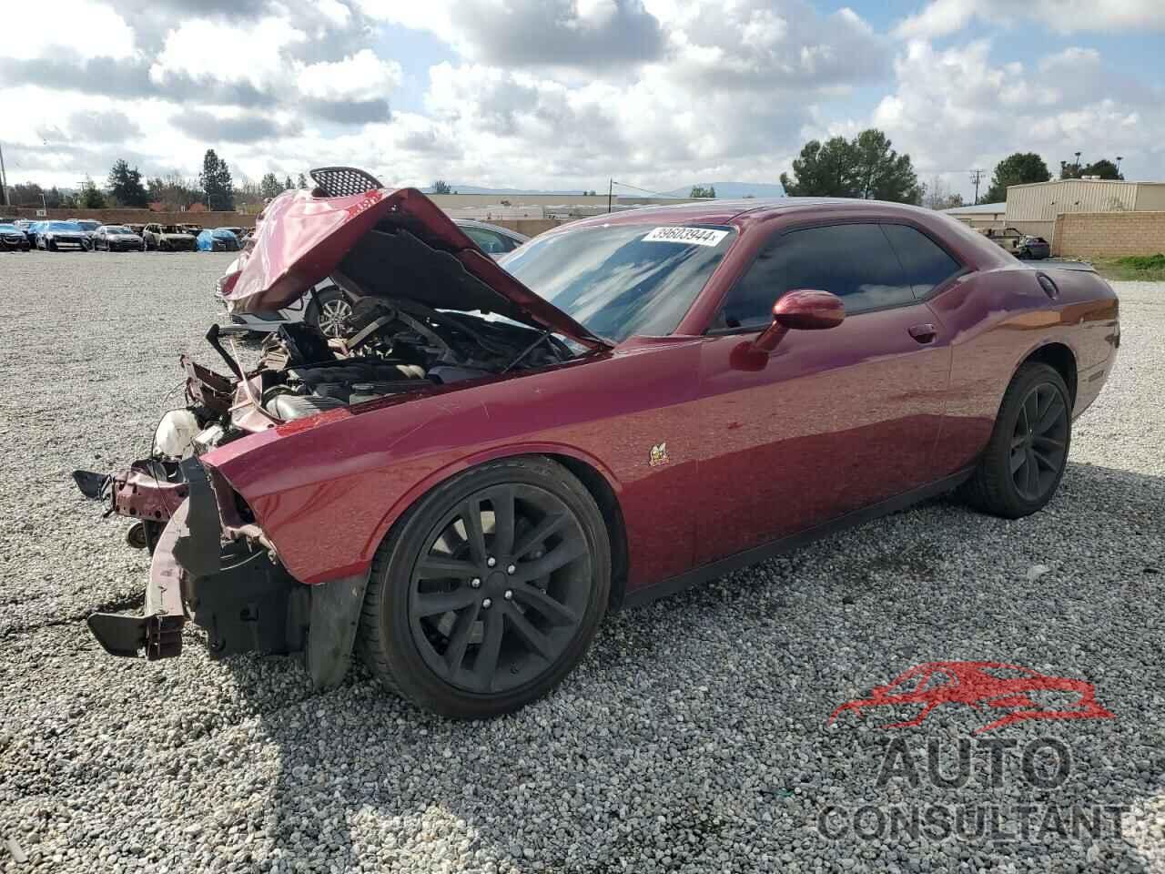 DODGE CHALLENGER 2019 - 2C3CDZFJ5KH741270