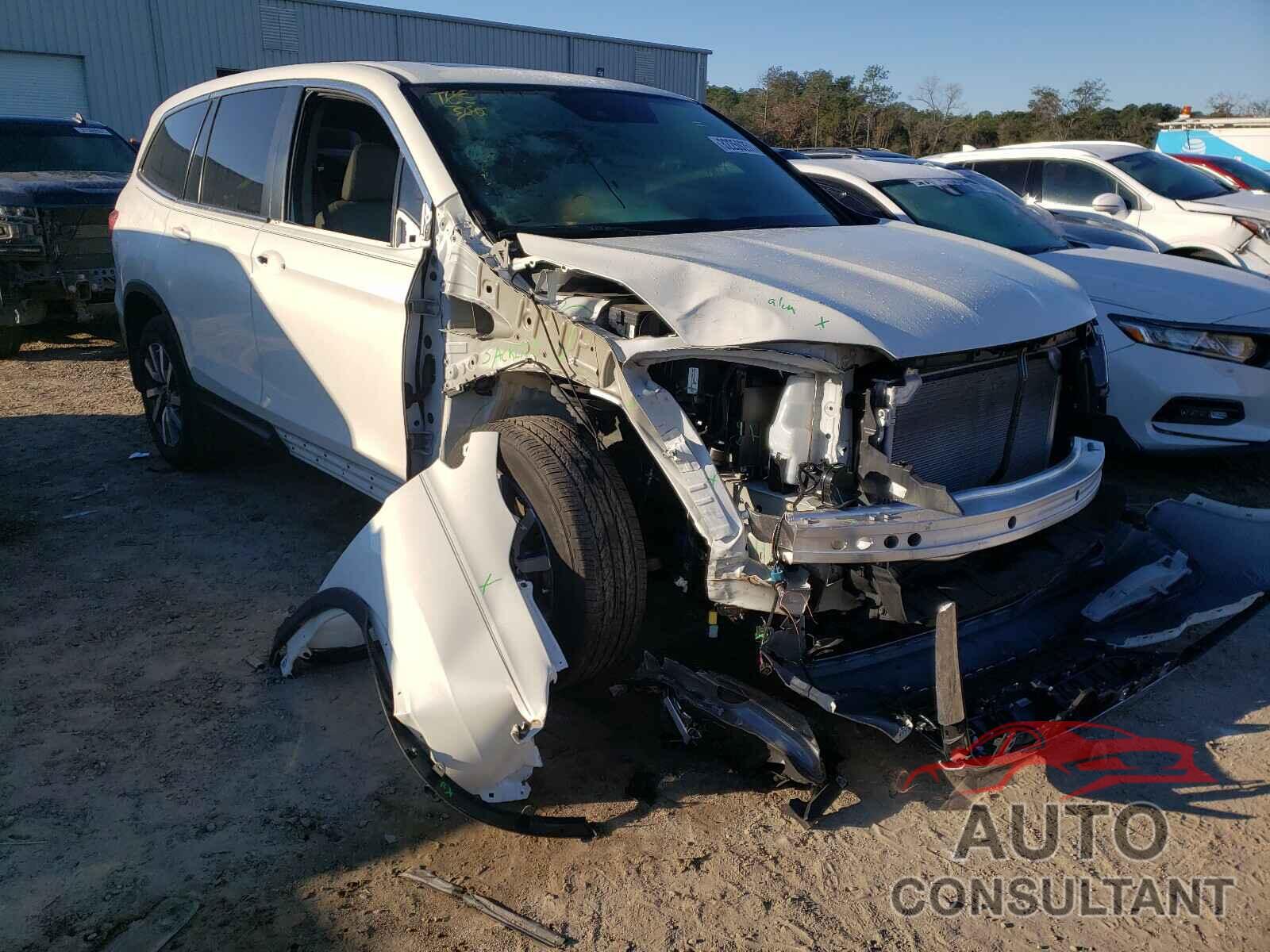 HONDA PILOT 2019 - 5FNYF5H58KB041009