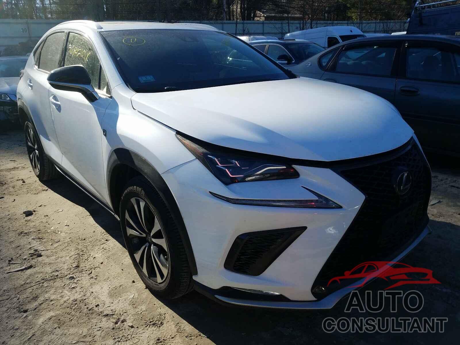 LEXUS NX 2019 - JTJBARBZ7K2193788