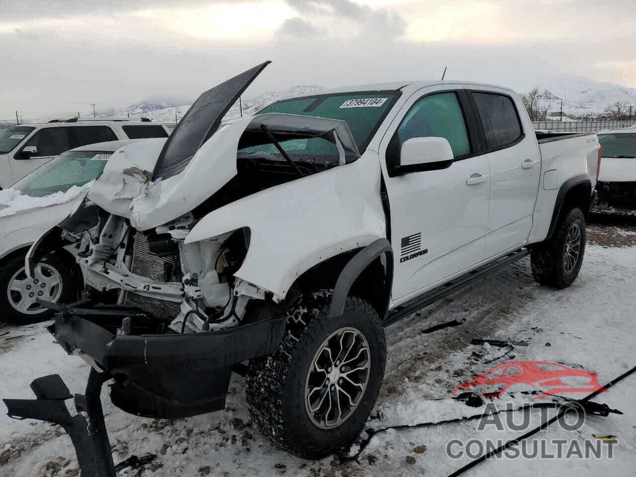 CHEVROLET COLORADO 2019 - 1GCGTEEN9K1106354