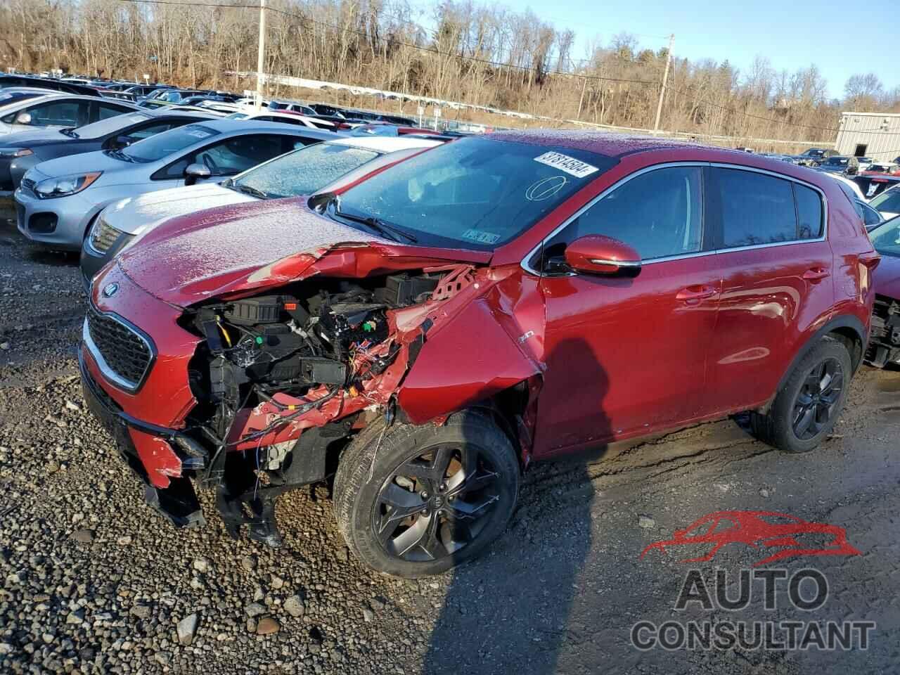 KIA SPORTAGE 2022 - KNDPMCAC1N7025484