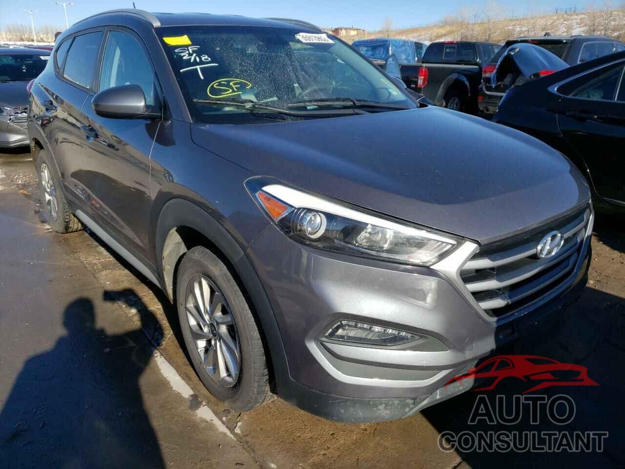 HYUNDAI TUCSON 2017 - KM8J3CA46HU466367