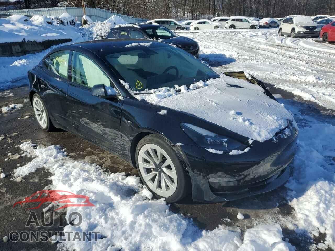 TESLA MODEL 3 2021 - 5YJ3E1EA2MF987634