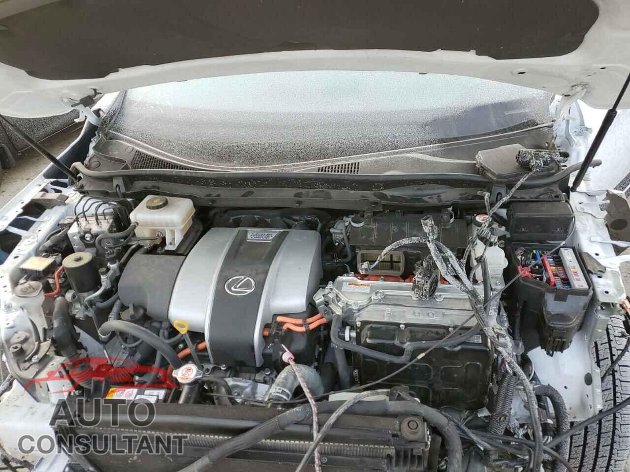 LEXUS RX450 2021 - 2T2SGMDA2MC058259