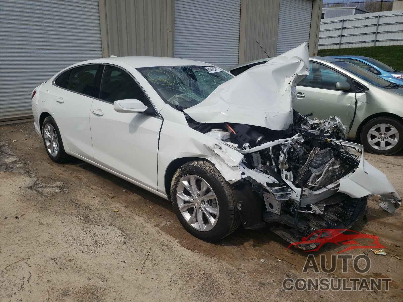 2019 MALIBU CHEVROLET