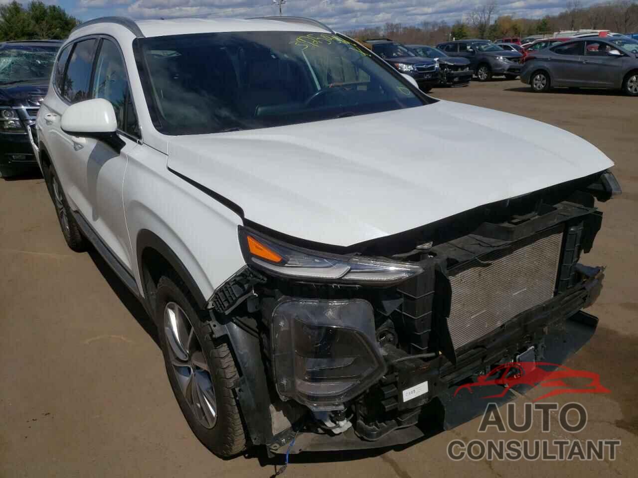HYUNDAI SANTA FE 2019 - 5NMS3CAD3KH032091