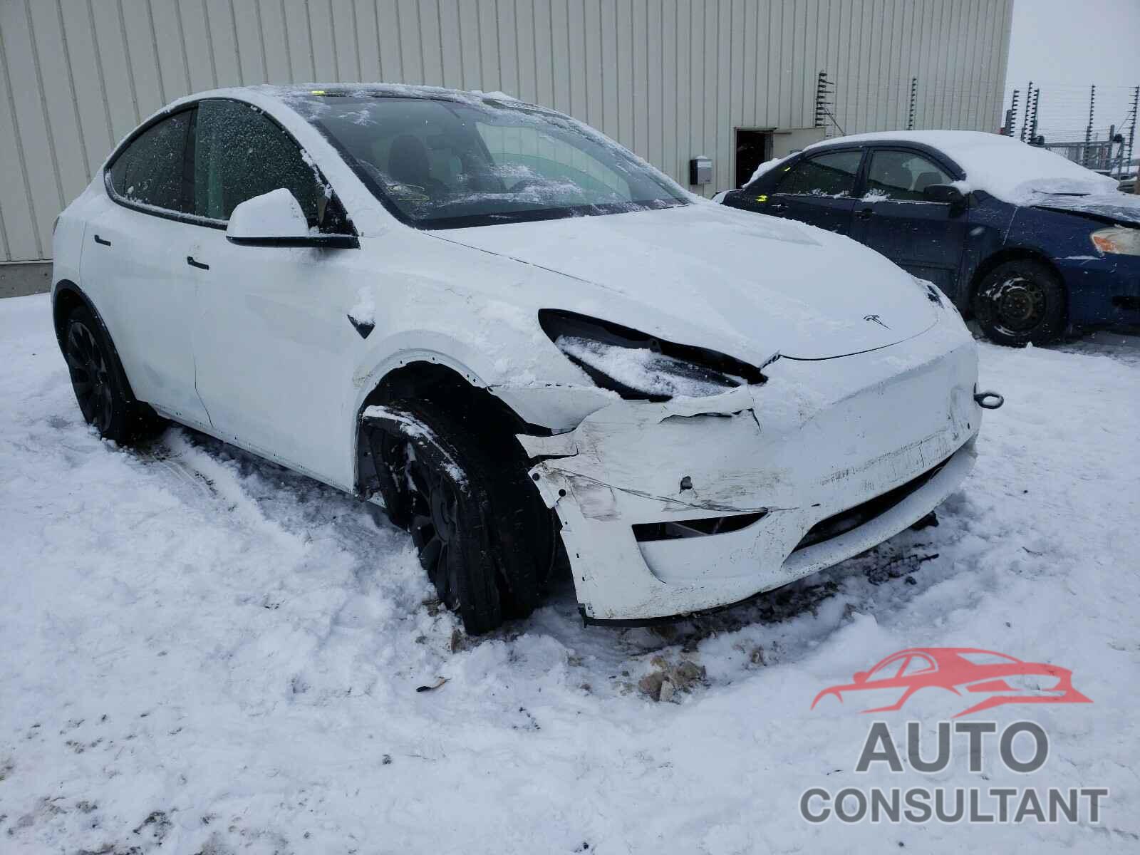 TESLA MODEL Y 2020 - 5YJYGDEE1LF019303