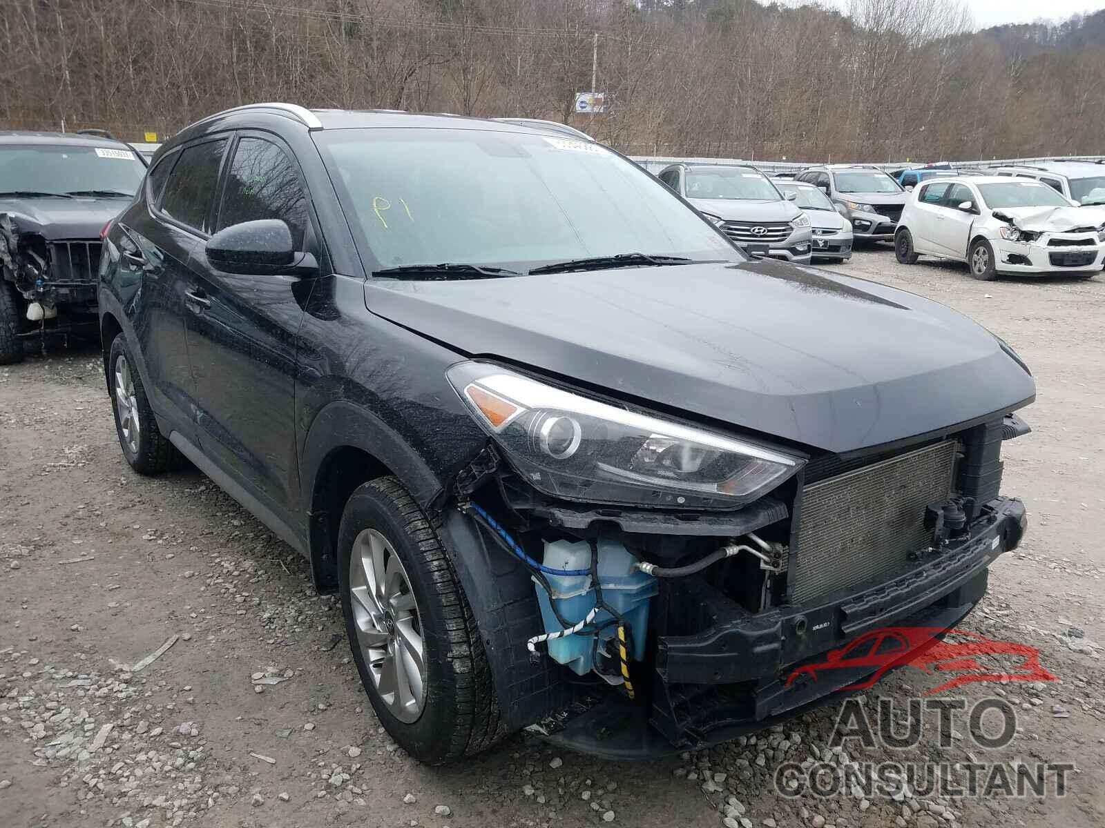 HYUNDAI TUCSON 2017 - KM8J33A40HU282946