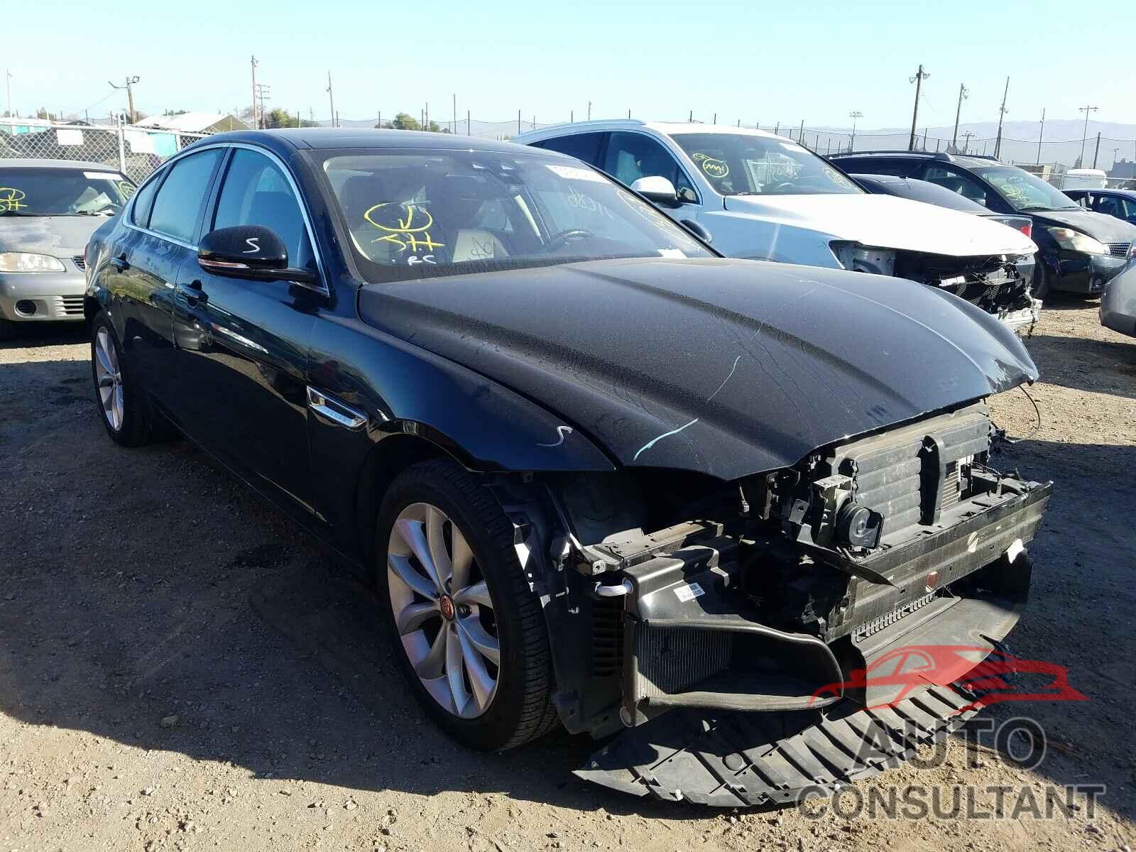 JAGUAR XF 2019 - SAJBJ4FX2KCY78971