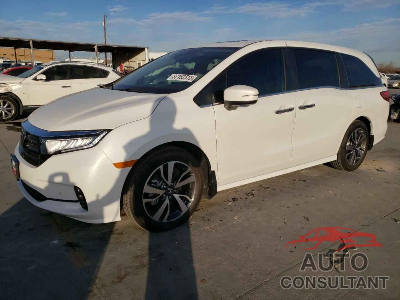 HONDA ODYSSEY 2023 - 5FNRL6H80PB022829