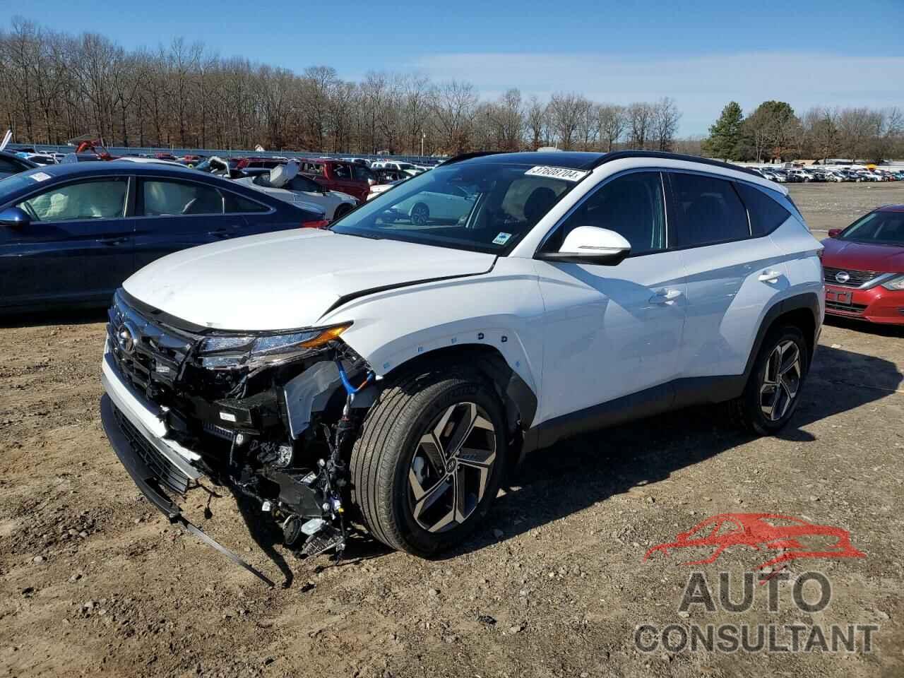 HYUNDAI TUCSON 2024 - KM8JCCD11RU149826