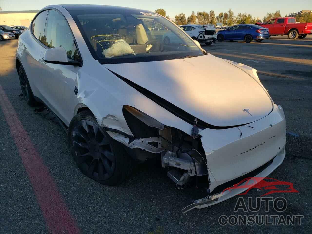 TESLA MODEL Y 2021 - 5YJYGDEE8MF241385