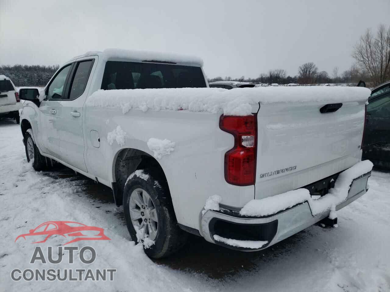 CHEVROLET SILVERADO 2020 - 1GCRYDED1LZ223473