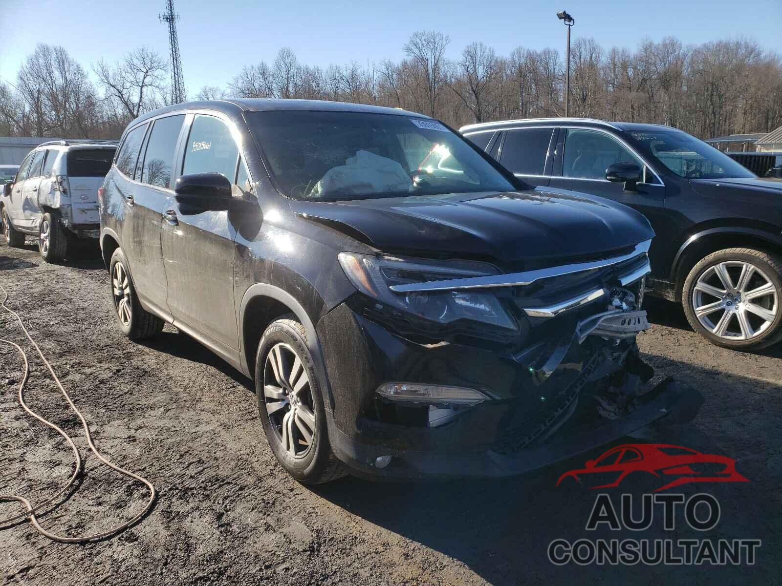 HONDA PILOT 2016 - 5FNYF6H50GB098642