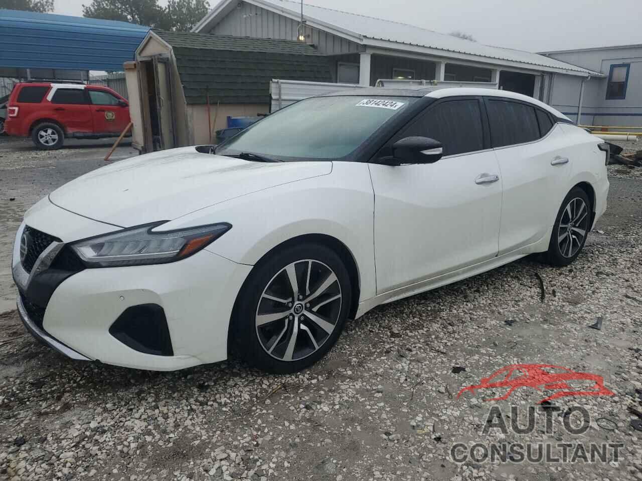 NISSAN MAXIMA 2019 - 1N4AA6AV9KC652217