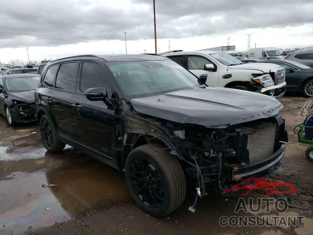 KIA TELLURIDE 2021 - 5XYP5DHC2MG124986