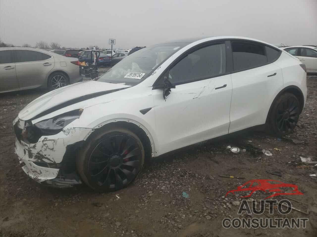 TESLA MODEL Y 2022 - 7SAYGDEF9NF519059