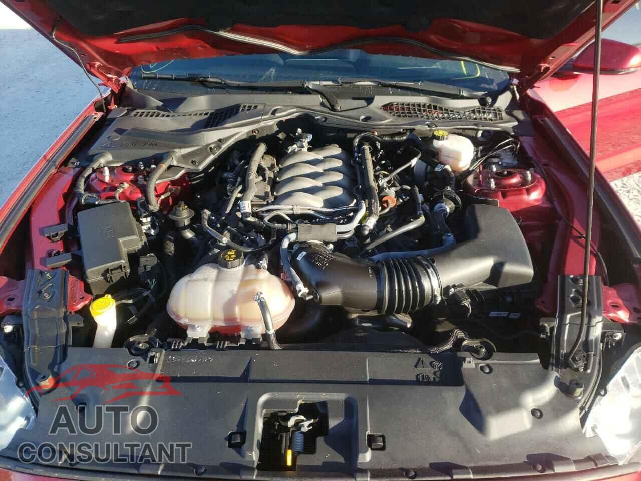 FORD MUSTANG 2019 - 1FA6P8CF2K5166911