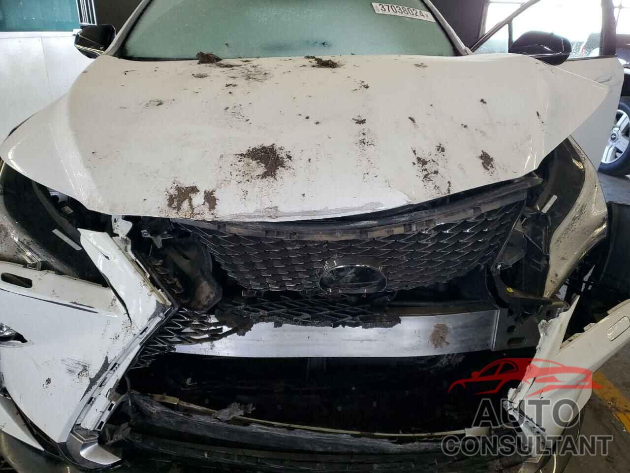 LEXUS RX350 2019 - 2T2BZMCA4KC193915