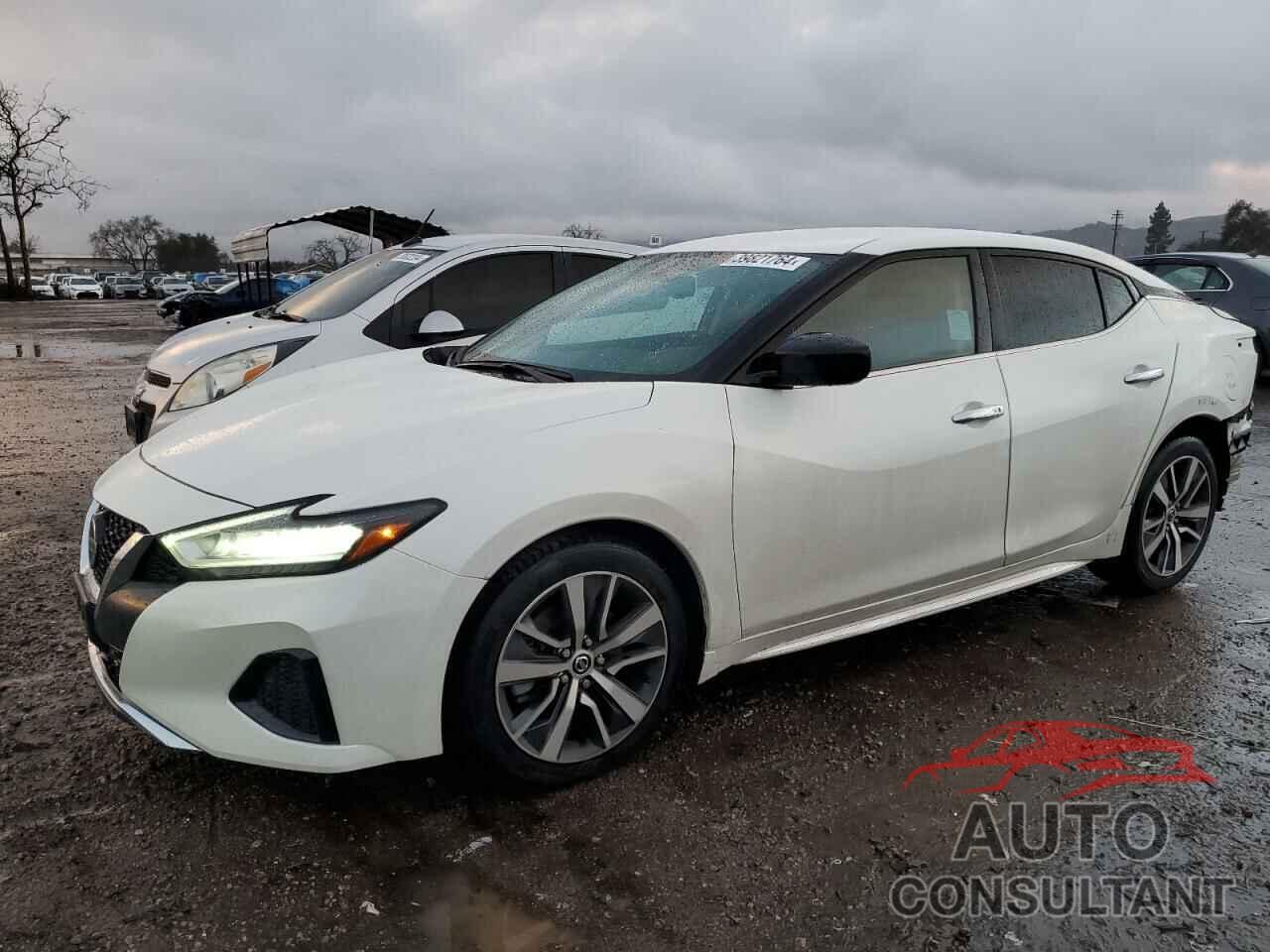 NISSAN MAXIMA 2019 - 1N4AA6AV6KC377664