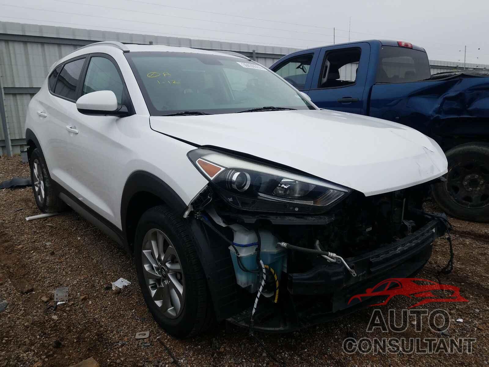 HYUNDAI TUCSON 2017 - KM8J33A44HU316502