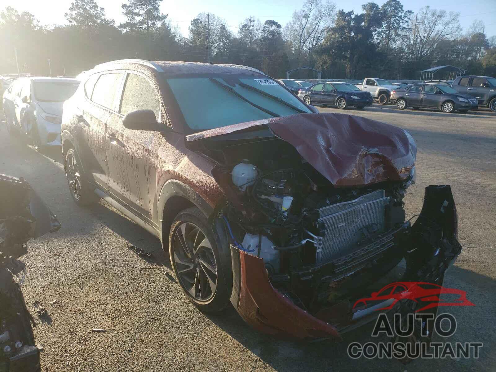 HYUNDAI TUCSON 2019 - KM8J33AL8KU891023