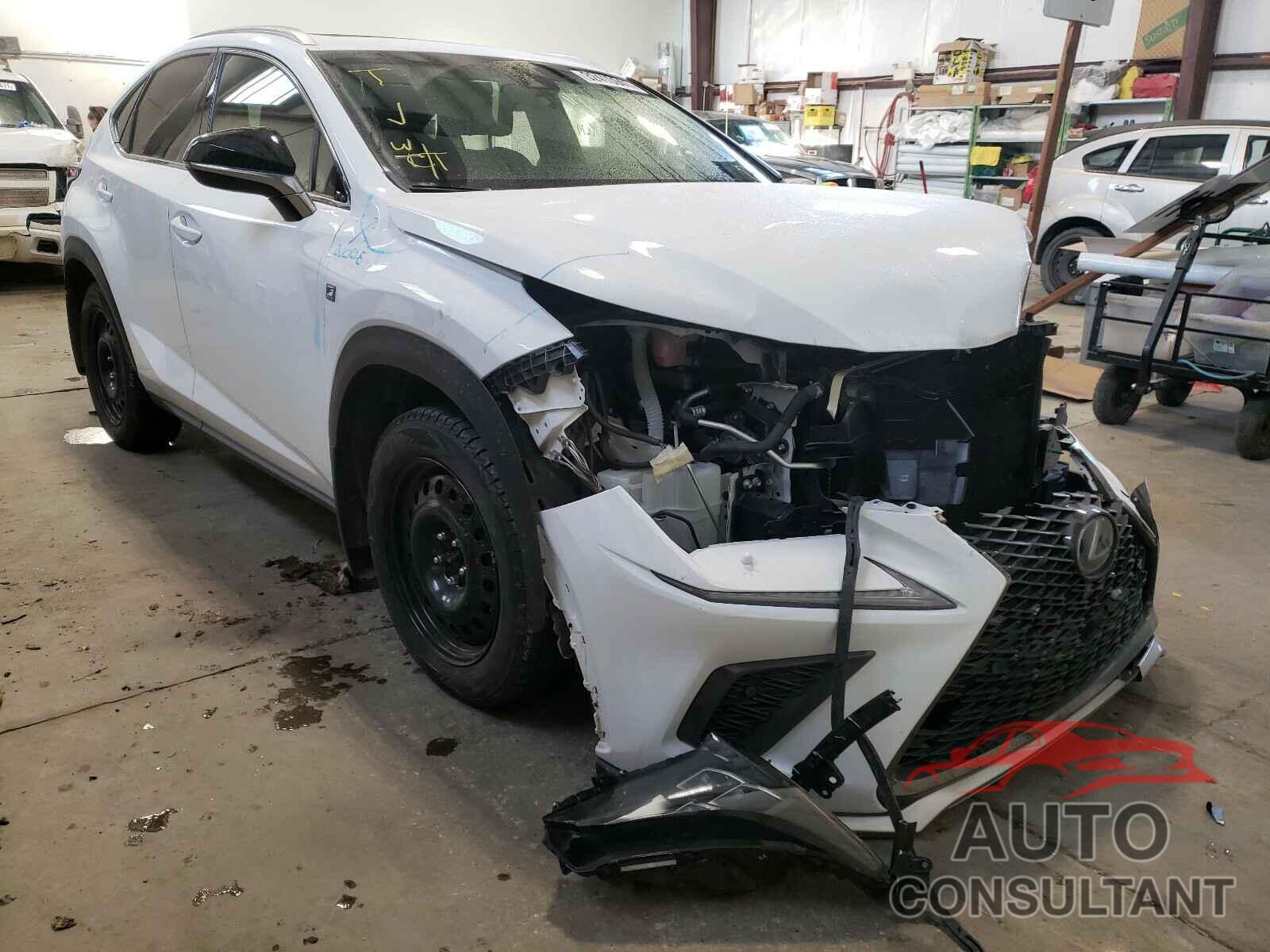 LEXUS NX 2019 - JTJBARBZ7K2208418