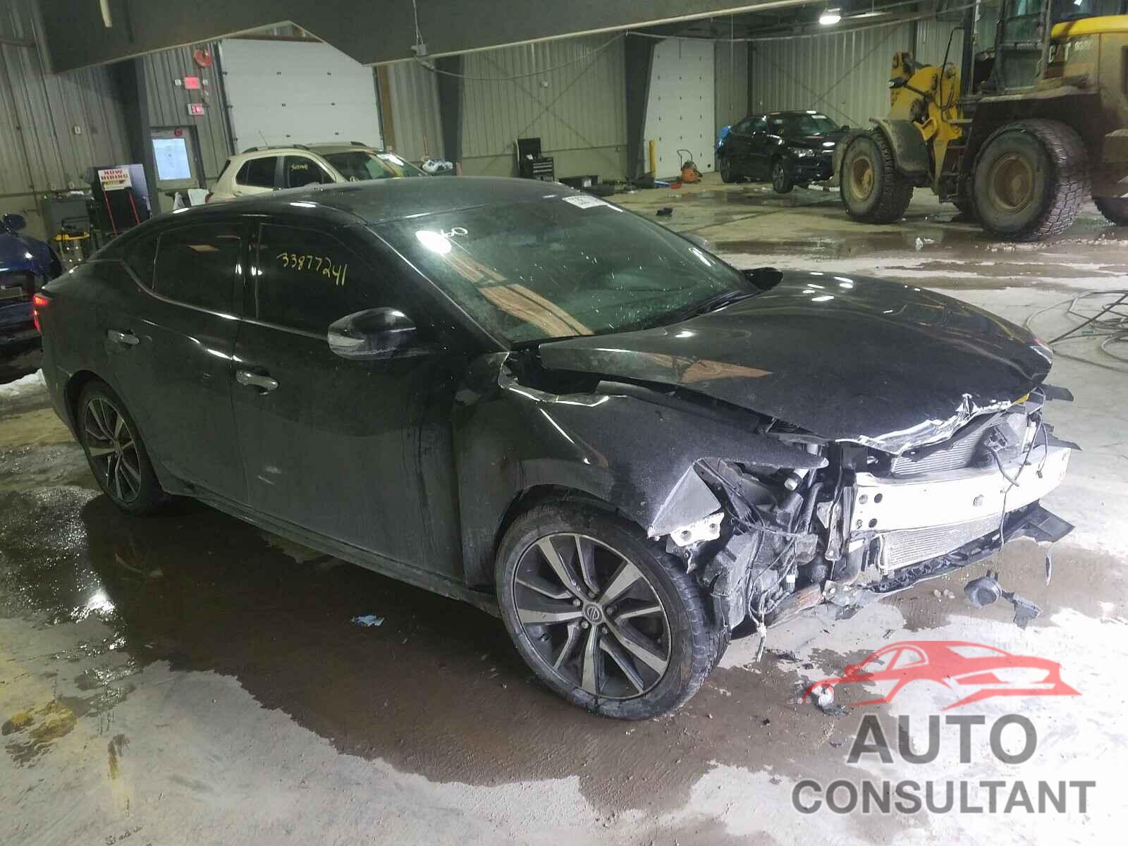 NISSAN MAXIMA 2019 - 1N4AA6AV8KC372515