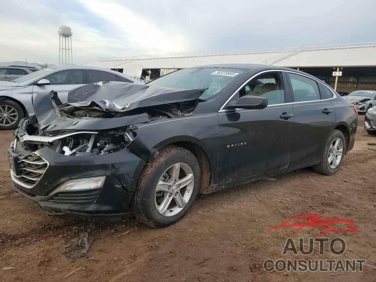 CHEVROLET MALIBU 2019 - 1G1ZB5ST0KF127295