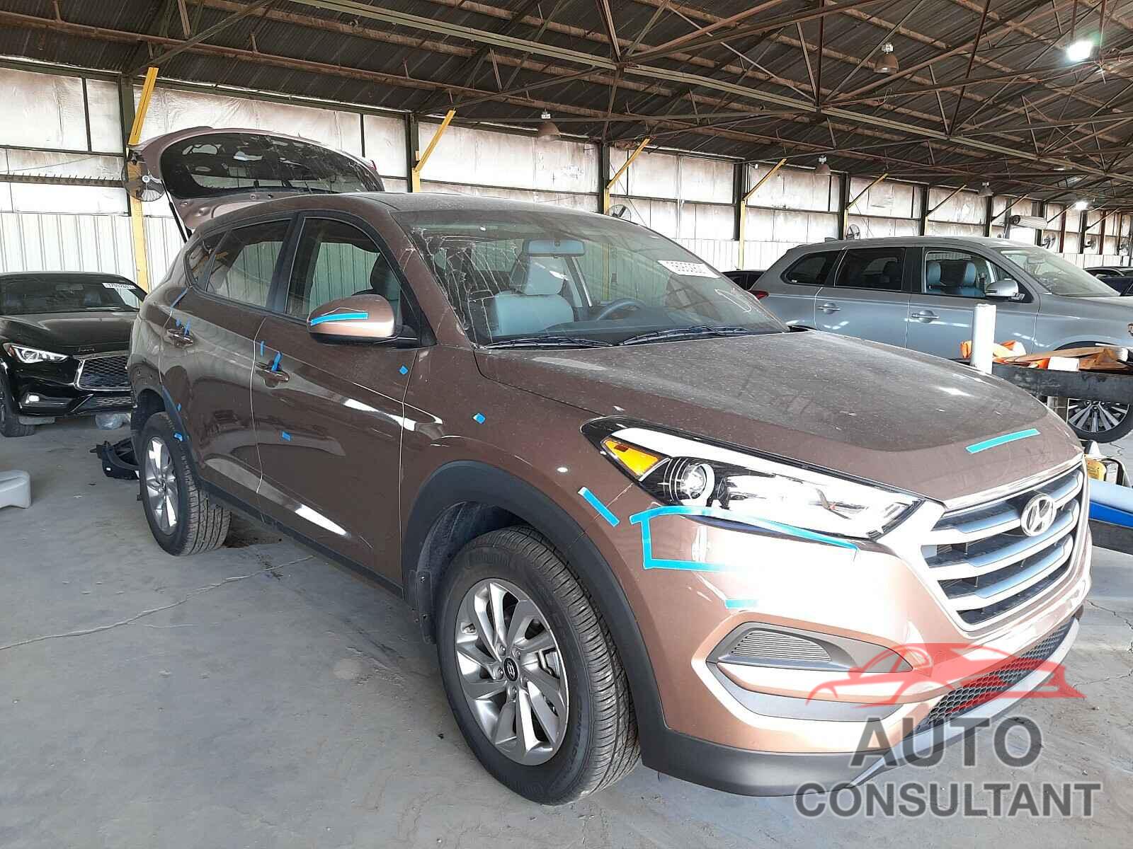 HYUNDAI TUCSON 2017 - KM8J23A44HU375617