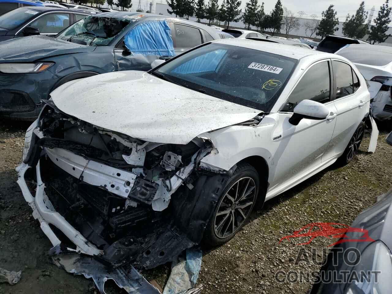 TOYOTA CAMRY 2021 - 4T1G31AK1MU026452