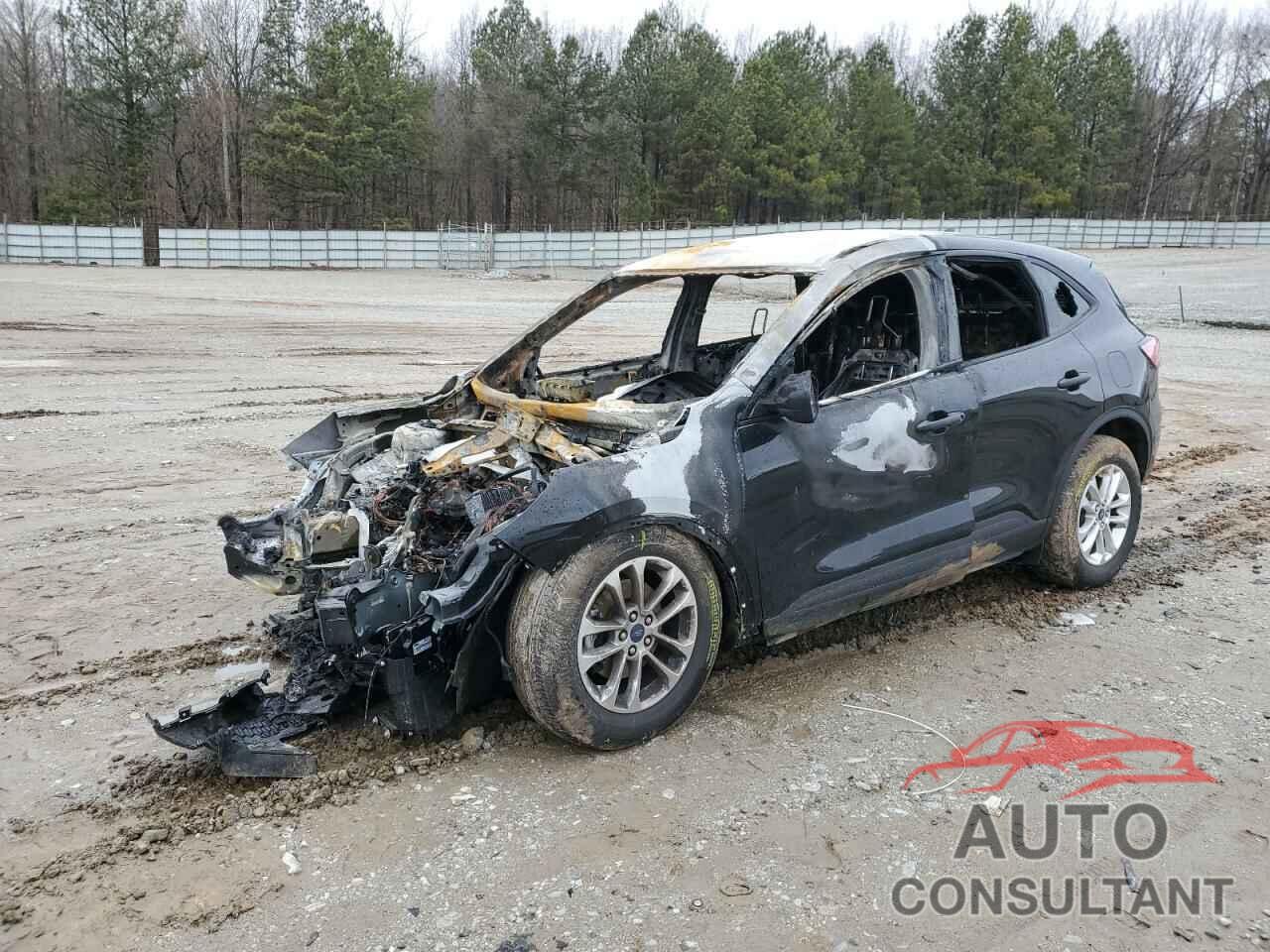FORD ESCAPE 2022 - 1FMCU0F66NUA06975