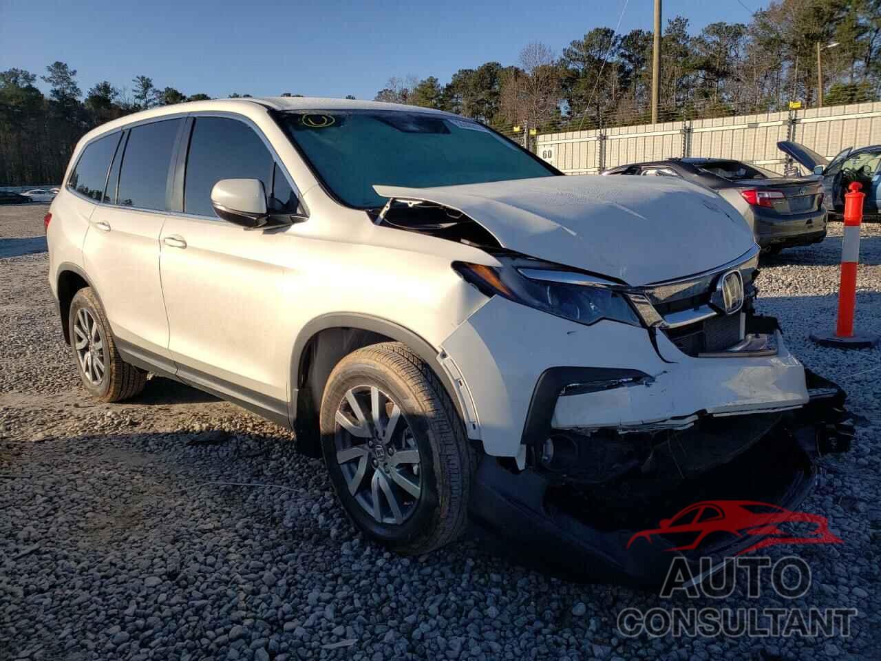 HONDA PILOT 2019 - 5FNYF5H31KB029492