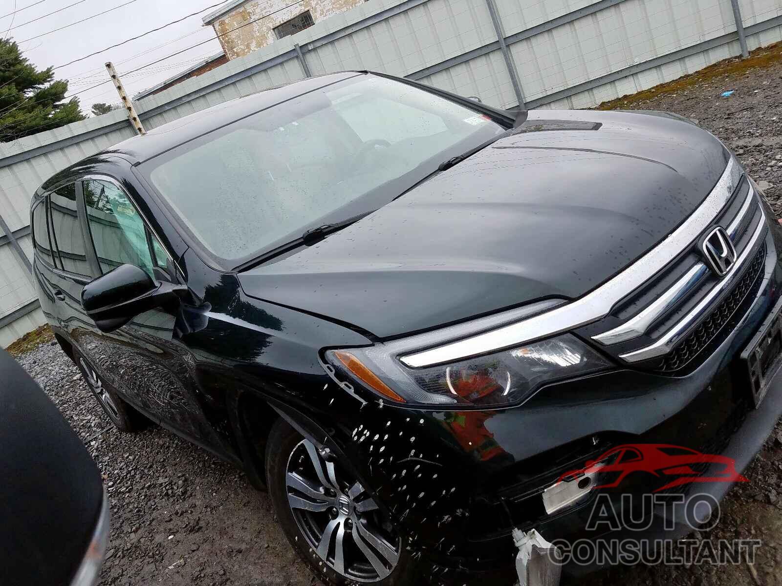 HONDA PILOT 2016 - 5NPDH4AE3GH726895